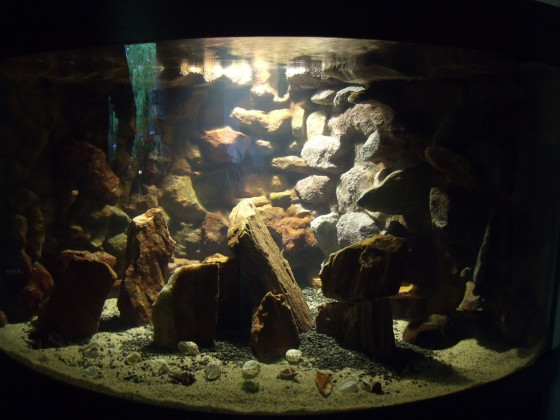 Aquarium Rückwand selber gebaut