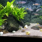 Alltagsimpressionen aus der Pfütze von heute